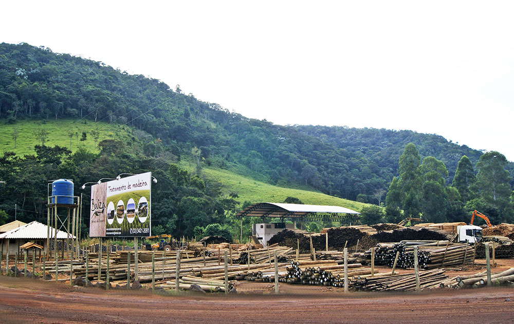 BALIZA MADEIRAS